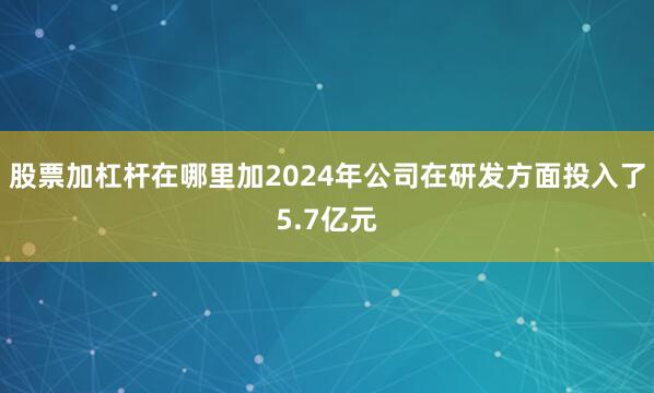 股票加杠杆在哪里加2024年公司在研发方面投入了5.7亿元